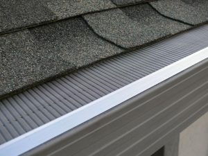 Gutter Guard Reviews
