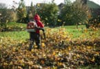 best backpack leaf blower