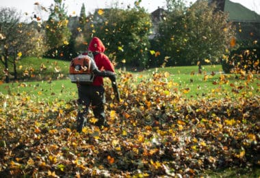 best backpack leaf blower